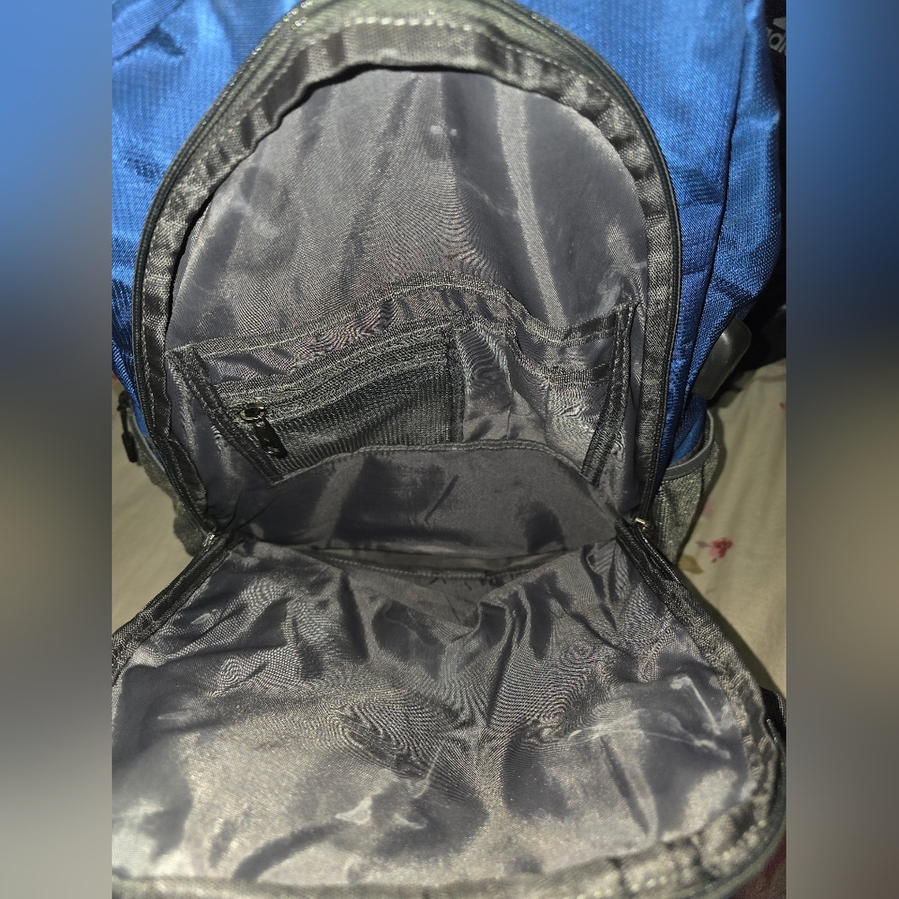 Blue and Gray Backpack - Picture 2 of 5